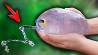 LAMINAR FLOW with a GIANT BALLOON