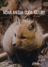 Nowa Anglia: cuda natury — plakat