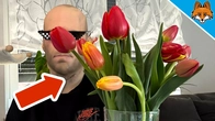 Almost everyone makes these Tulip Mistakes(99% don´t know about)