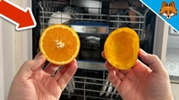 You would NOT BELIEVE what happens when you put an Orange in the Dishwasher