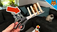 The sadly unknown Trick with the Scissors and the Clothes Pegs(ingenious)