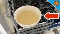 EVERYONE has to put THIS Bowl in their Dishwasher(Every 6.25 weeks)