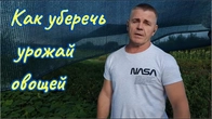 Овощи больше не будут вянуть и печься от солнца.