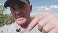 Продажа саженцев ежевики и семян арахиса.