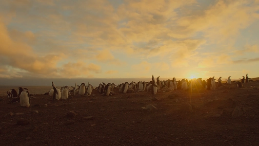 Earth: One Amazing Day UHD