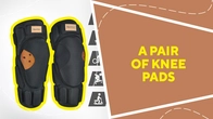 A pair of knee pads