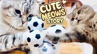 CUTE CATS STORIES : Funny Cats Playing Football Kuma & Yuki's Best Games for kittens Ep. 27