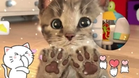 FUNNIEST CATS LITTLE KITTEN ADVENTUREPLAY CAT CARE GAMES FOR BABY, TODDLERS, CUTE STORY FOR KIDS!