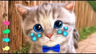 Animated Little Kitten Finds a New School | Advenrure Fun with Kitten & Friends A Cute Story