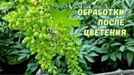 Серія 344