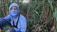 СПЕКА ПРИЙШЛА ЛІТО В САМОМУ РОЗГАРІ