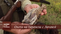 "Classic quail hunting"