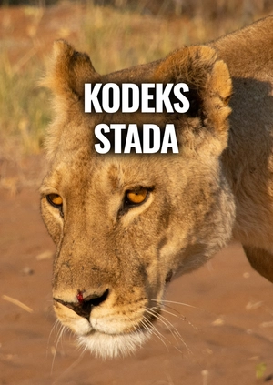 Kodeks stada