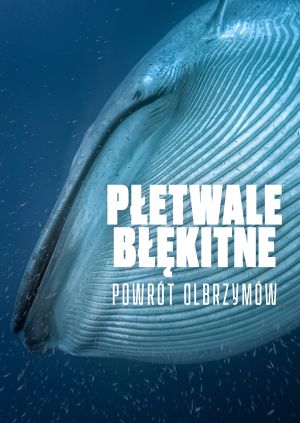 Płetwale błękitne: powrót olbrzymów — plakat