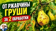 Серія 397