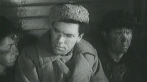 Путевка в жизнь