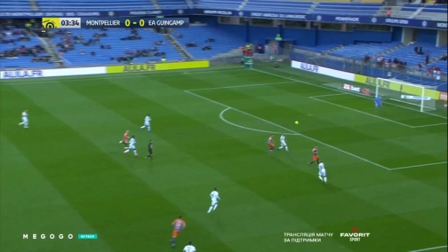 Round 30. Montpellier — Guingamp 2:0. Match overview