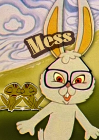 Mess