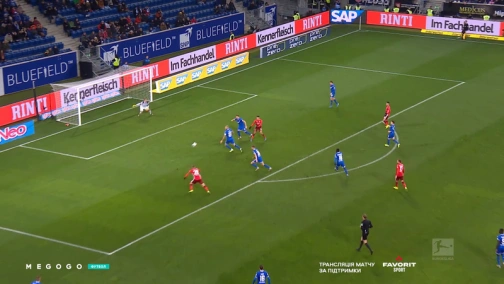 Round 13. Hoffenheim — Fortuna 1:1. Highlights