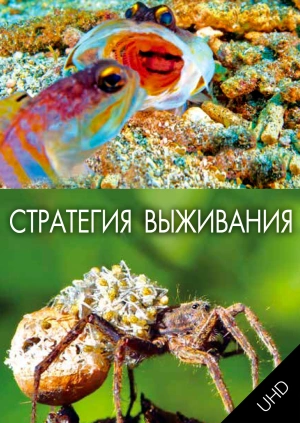 Стратегия выживания UHD