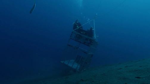 Призрак большой белой