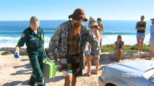 Акулы разбушевались!