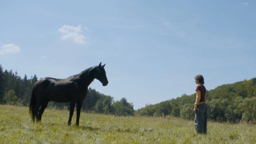 Windstorm: Ari's Arrival UHD HDR