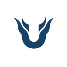 Team Unique