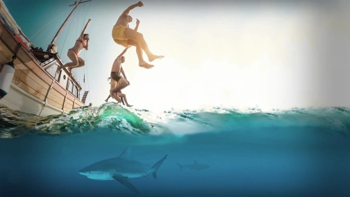 Осторожно, опасные животные