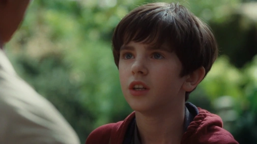 Хроніки Спайдервіка