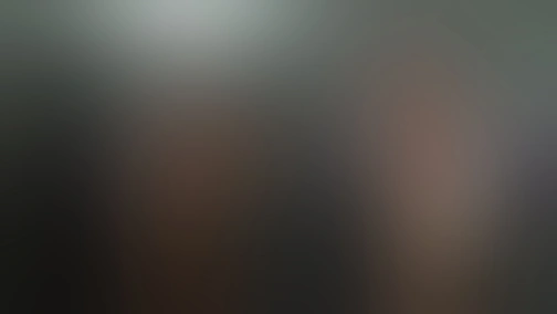 Запорожец за Дунаем