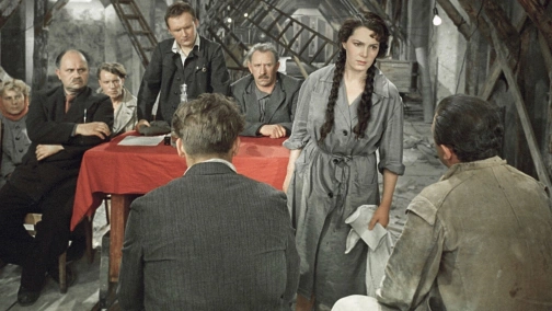 Добровольці