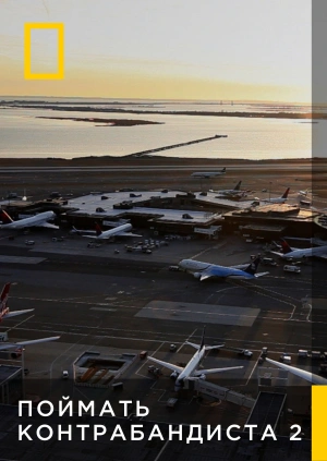 Поймать контрабандиста 2