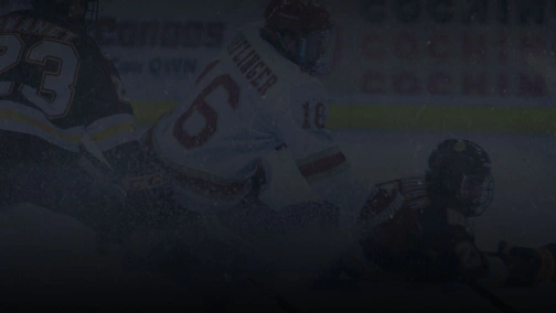 Швейцарія — Словаччина