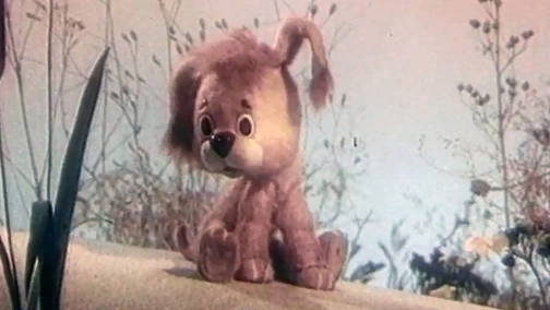 Как щенок учился плавать