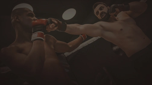 WWFC 17. Lviv Fight Night
