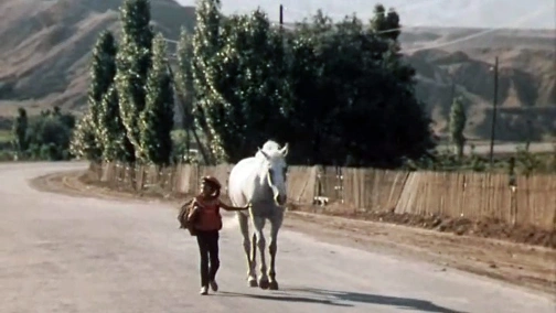 Заповедный холм