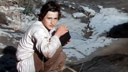 Иваника и Симоника