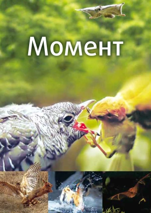 Момент