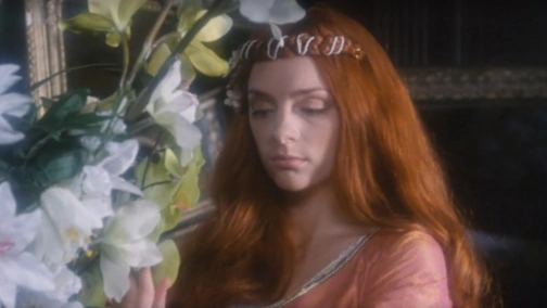 Рижик в Задзеркаллі