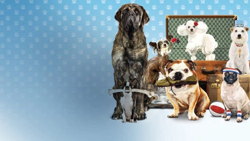 Готель для собак