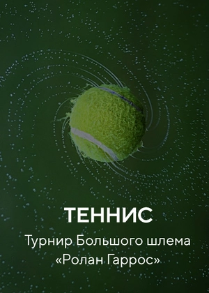 Ролан Гаррос 2022. Финал. На колясках. Женщины