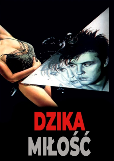 Dzika miłość