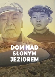 Dom nad słonym jeziorem