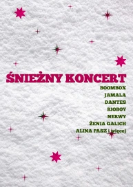 Śnieżny koncert. Boombox, Jamala, DANTES, Rioboy, Nerwy, Żenia Galich, Alina Pasz i więcej