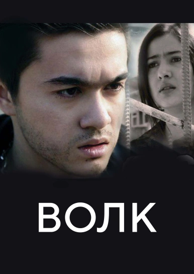 Волк
