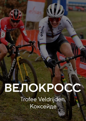 Велокросс. Trofee Veldrijden. Коксейде