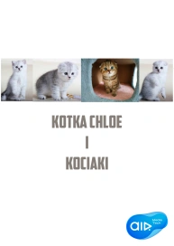 Kotka Chloe i Kociaki