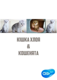 Кішка Хлоя & Кошенята