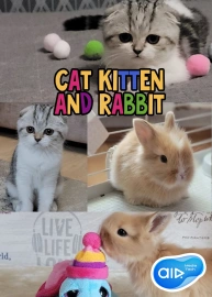 Cat Kitten and Rabbit